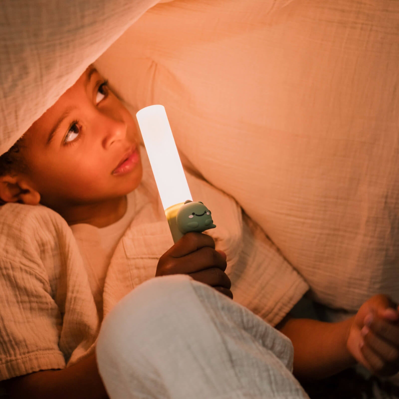 Portable Light - Dino