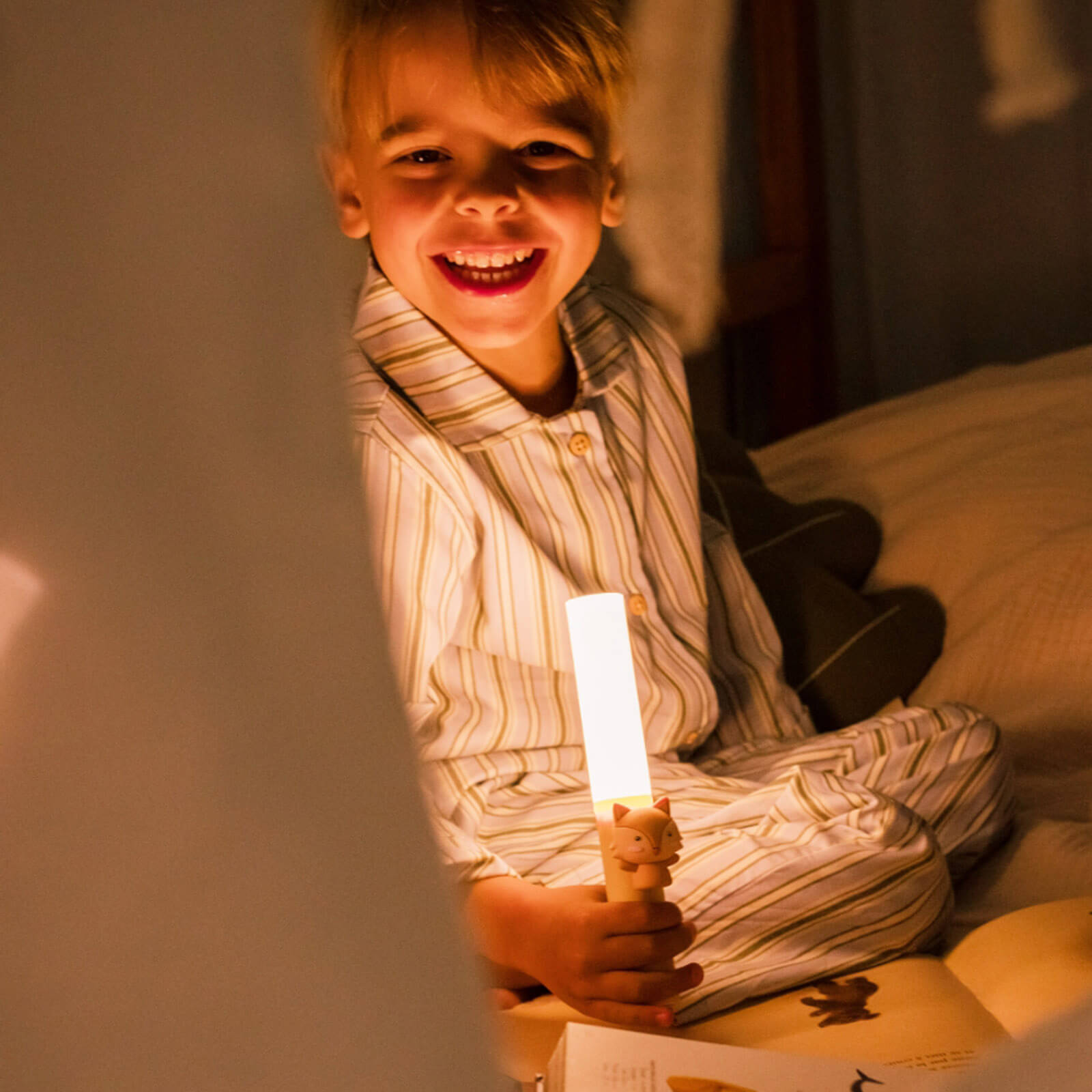 Portable Light - Fox