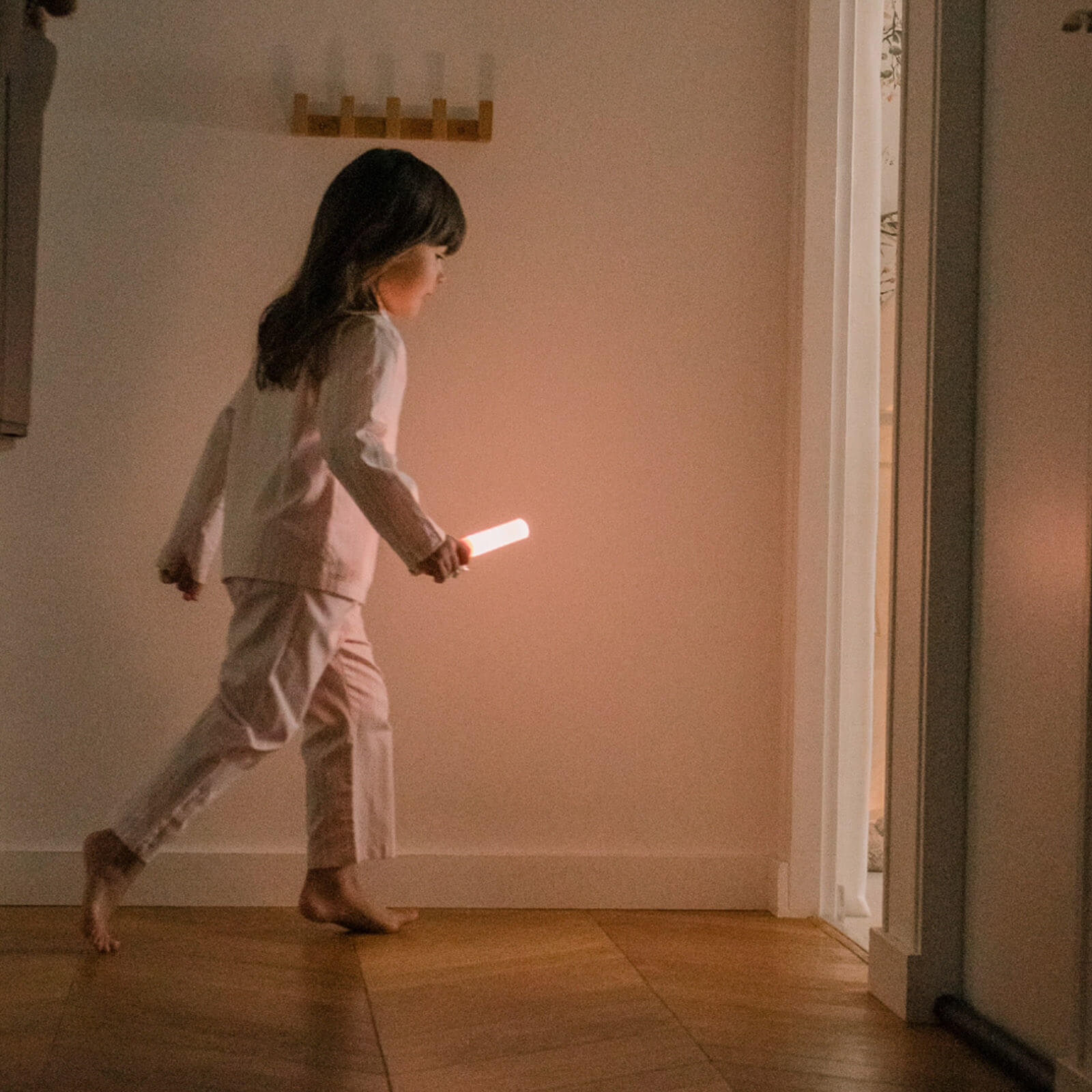 Portable Light - Fox
