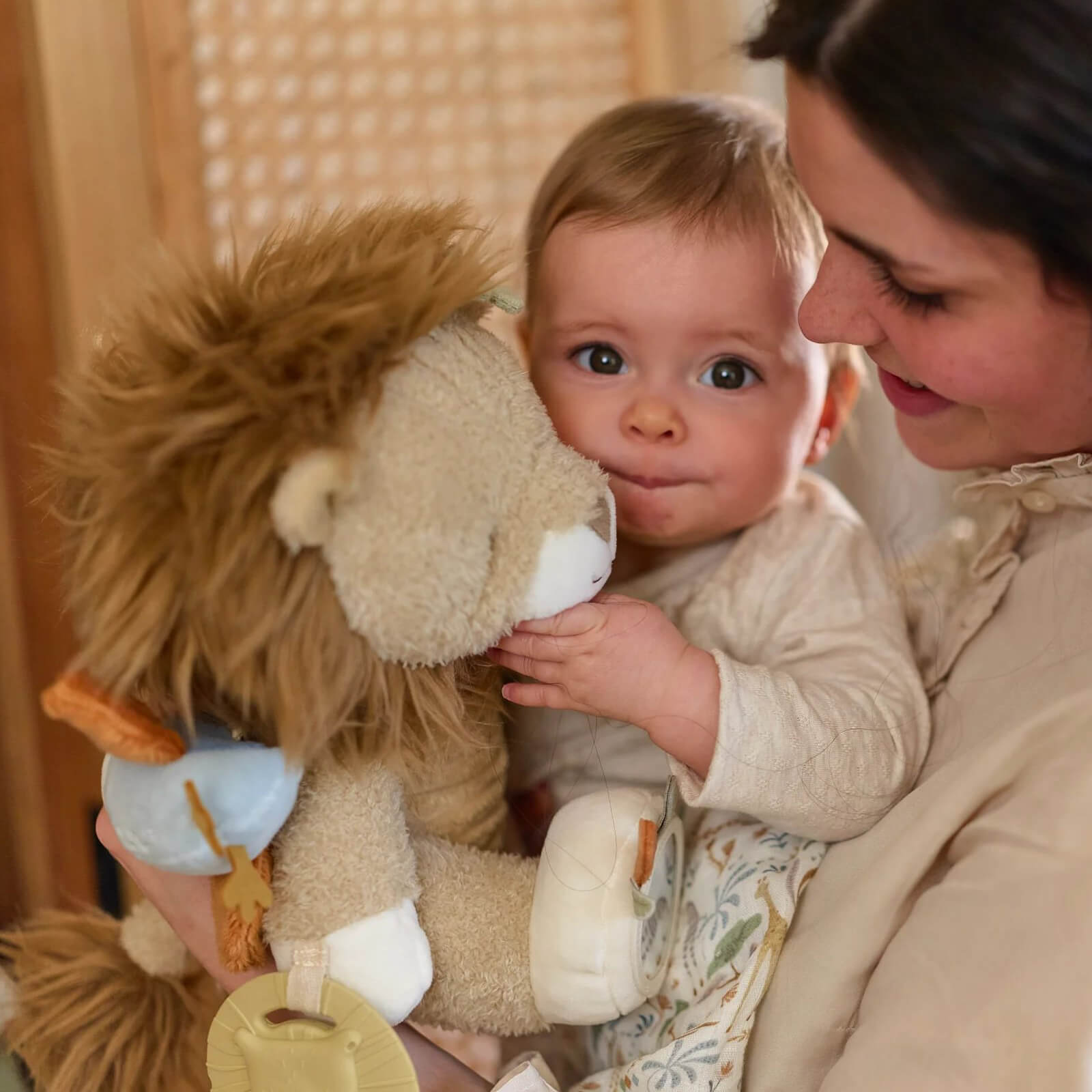 Activity Cuddle Toy 27cm - Lion