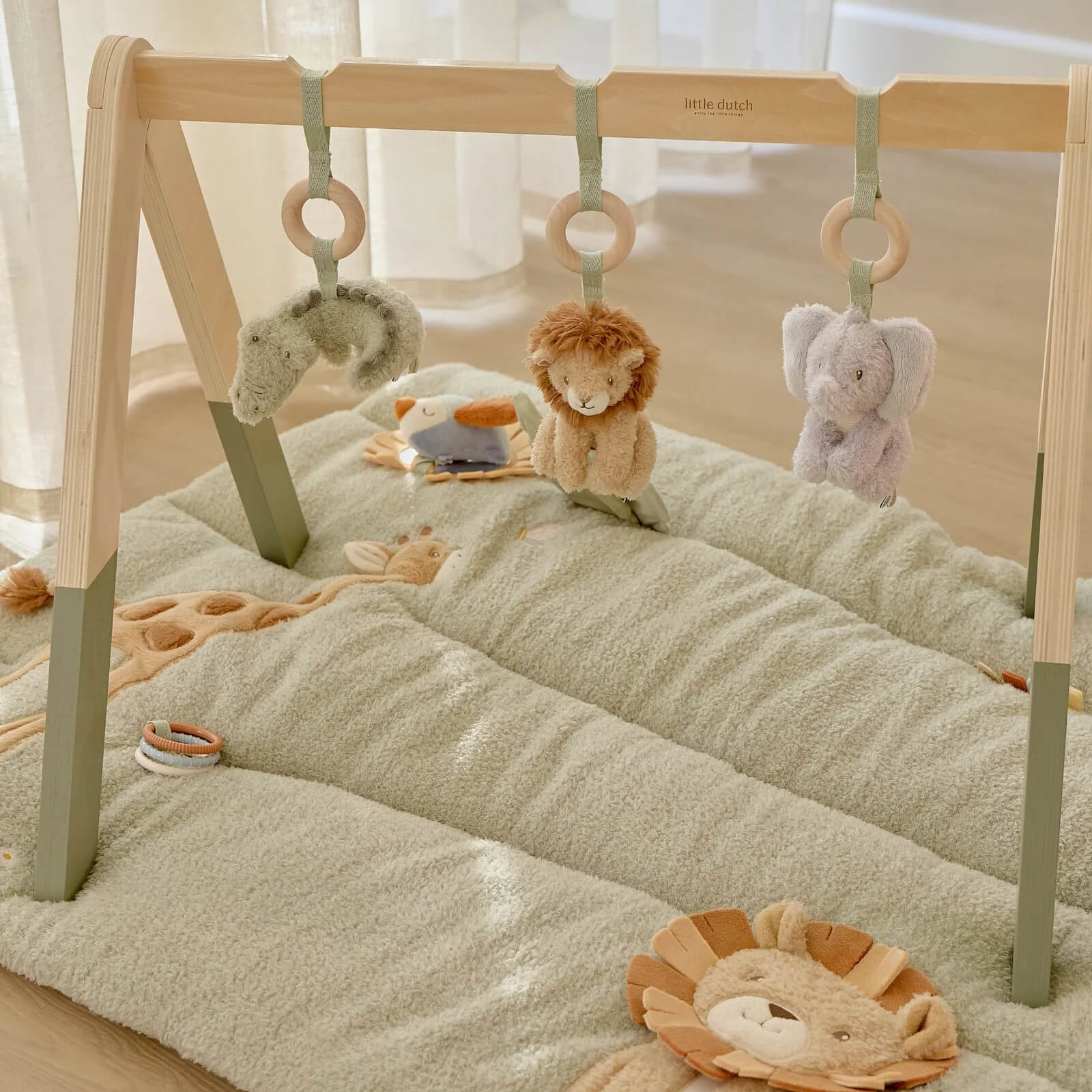 Baby Gym - Safari Friends