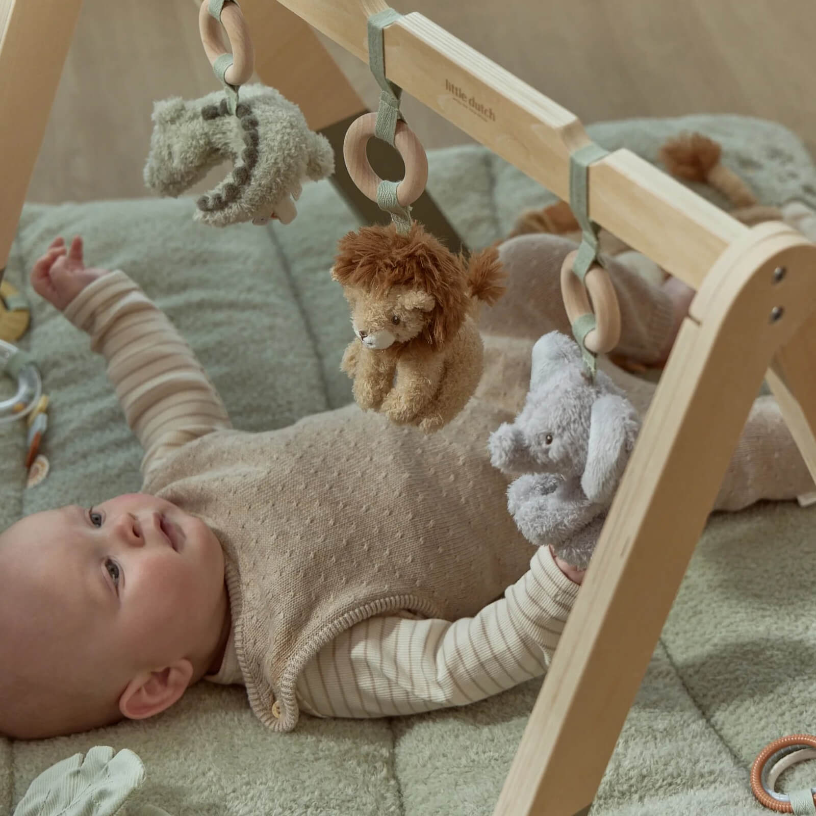 Baby Gym - Safari Friends