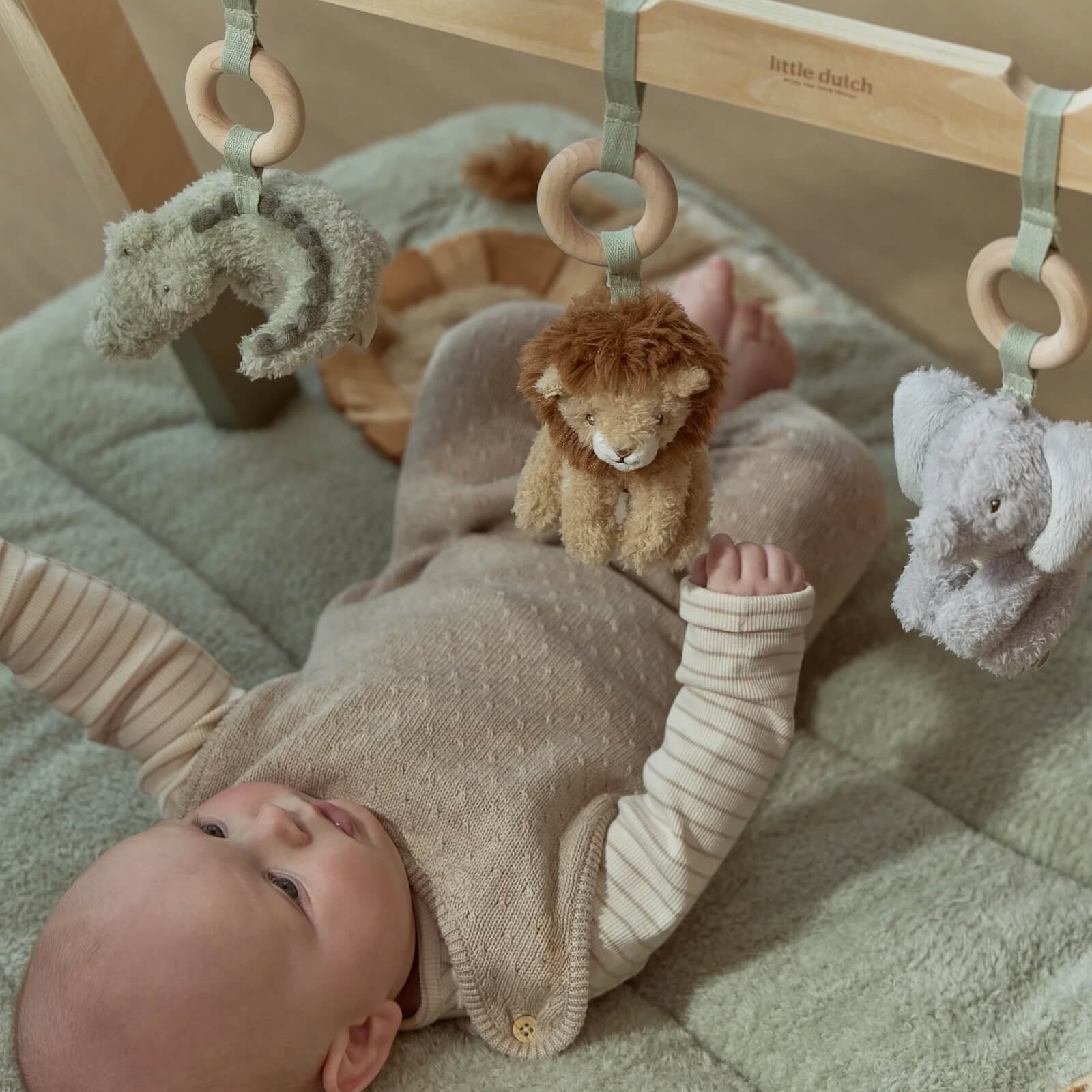 Baby Gym - Safari Friends