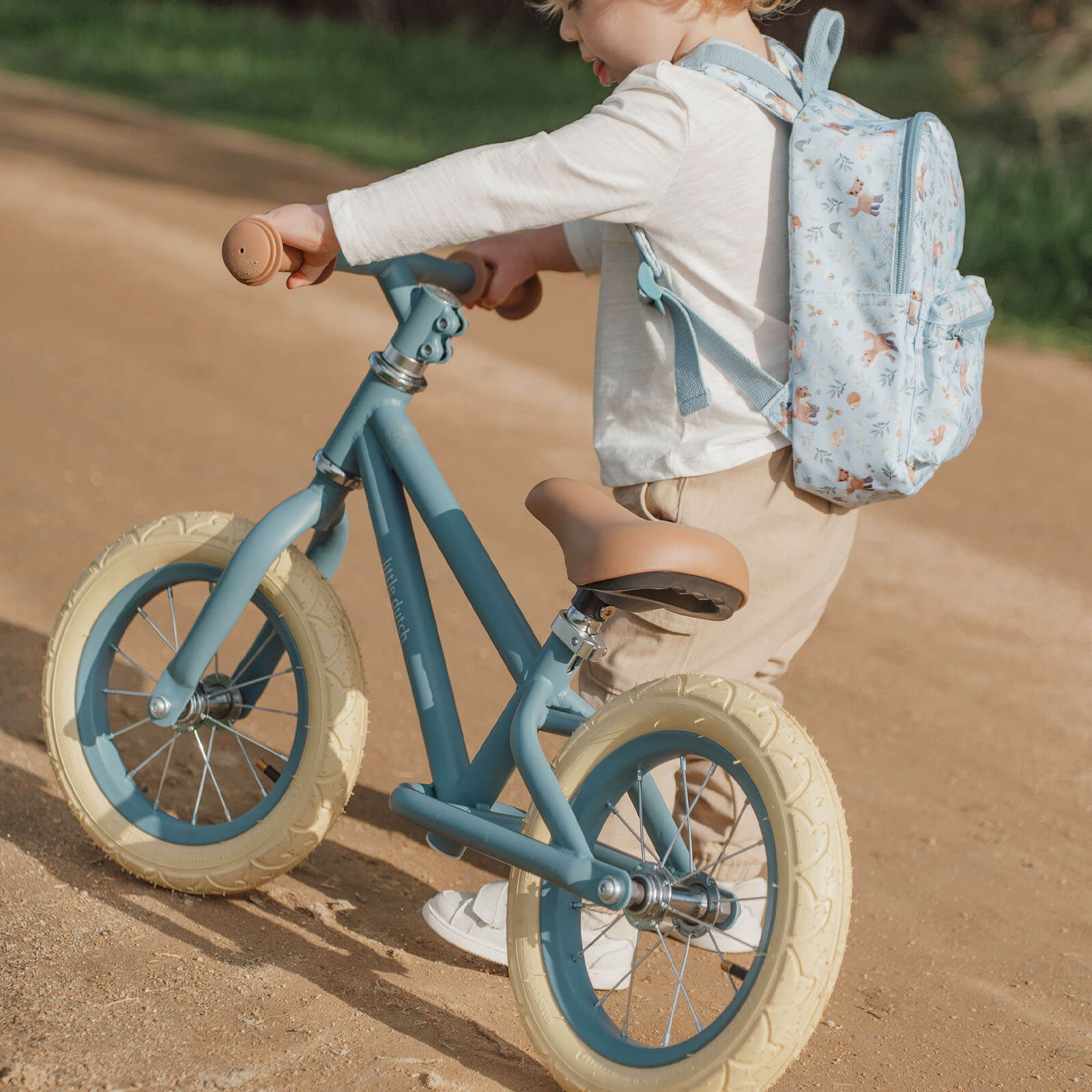 Balance Bike - Blue Matte
