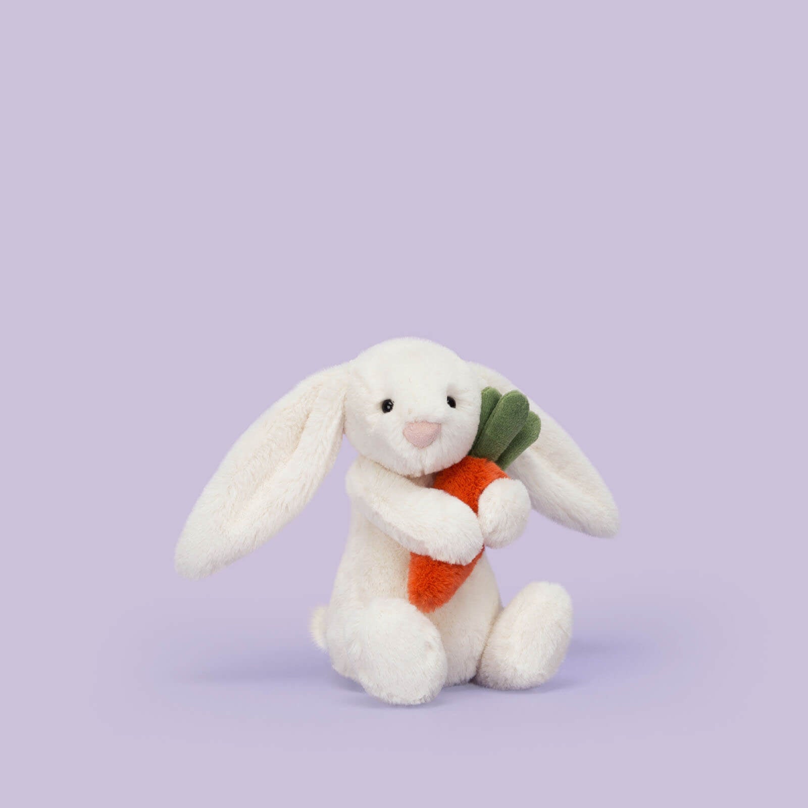 Little Bashful Bunny Carrot