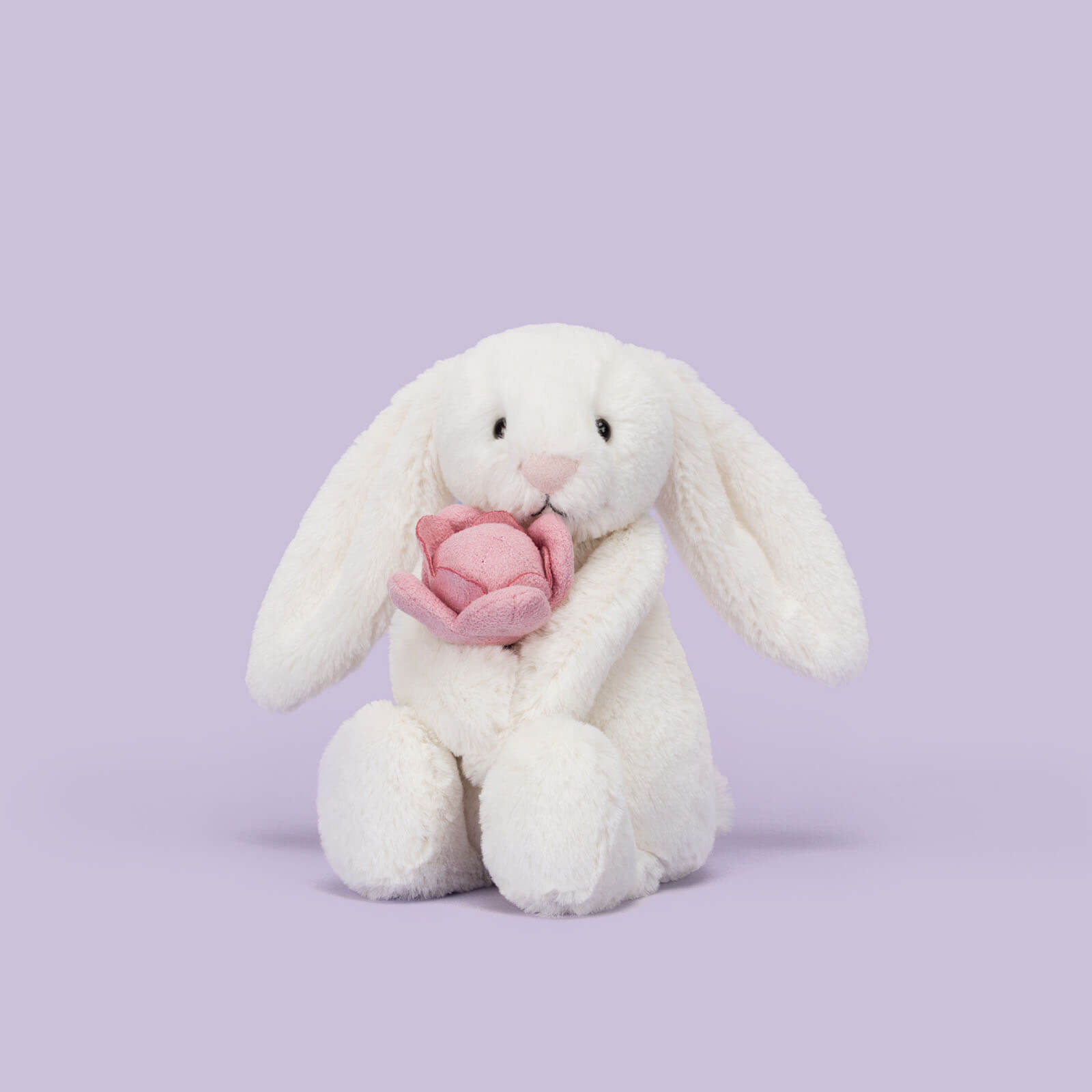 Little Bashful Bunny Peony