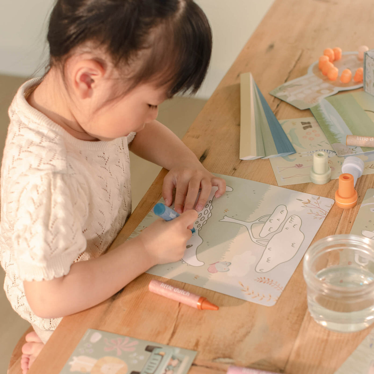 Creativity Box - Safari Friends