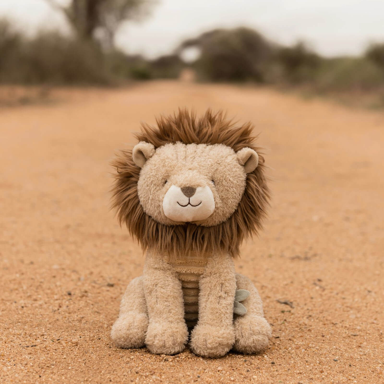 Soft Cuddle Toy 19cm - Lion