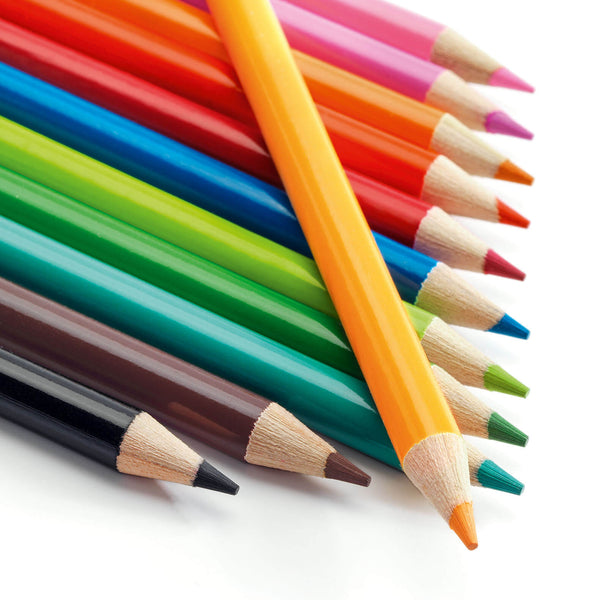 12 Watercolour Pencils