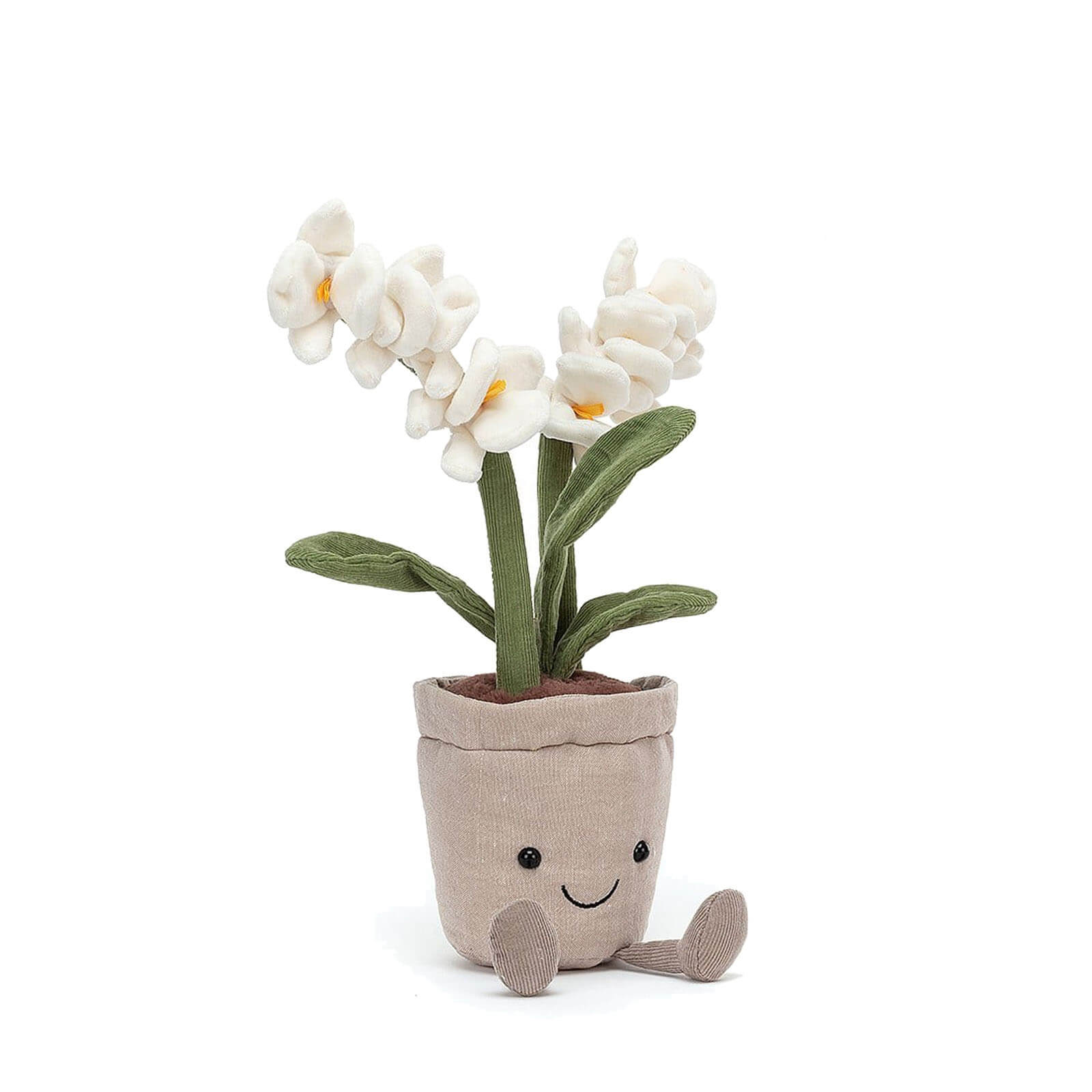 Amuseable Cream Orchid