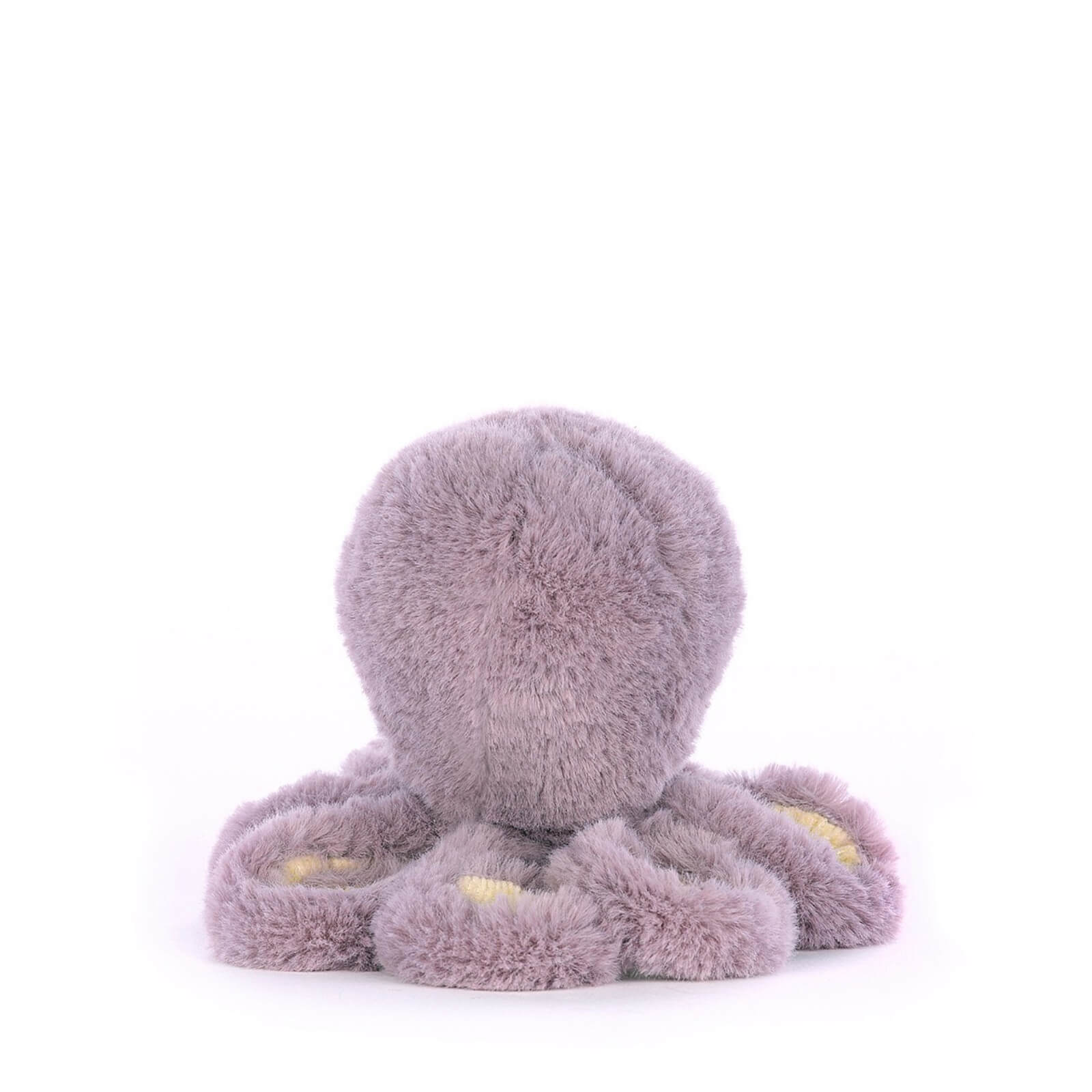 Baby Maya Octopus