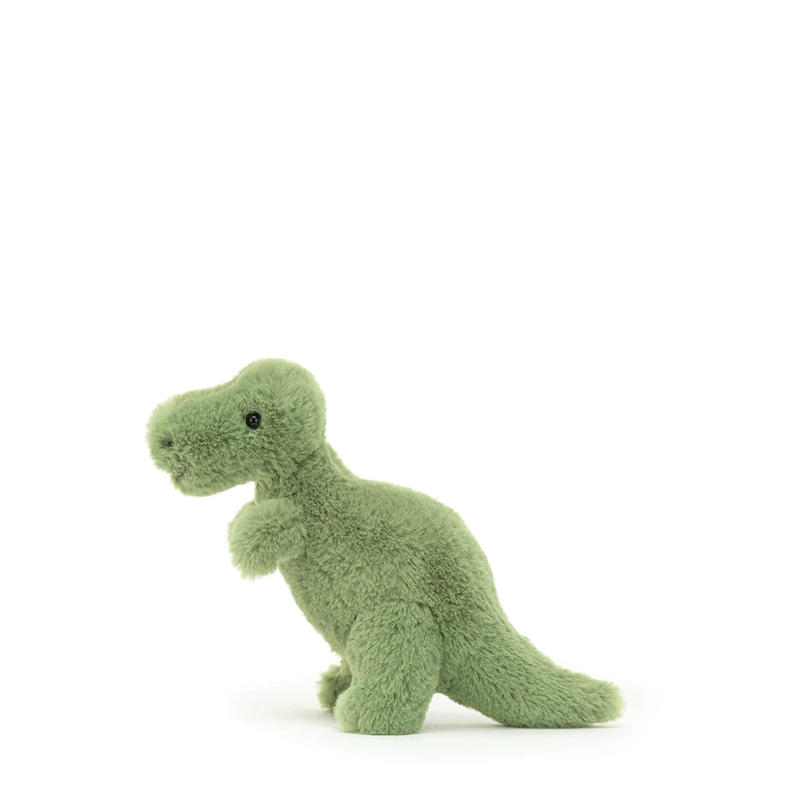 Mini Fossilly T-Rex