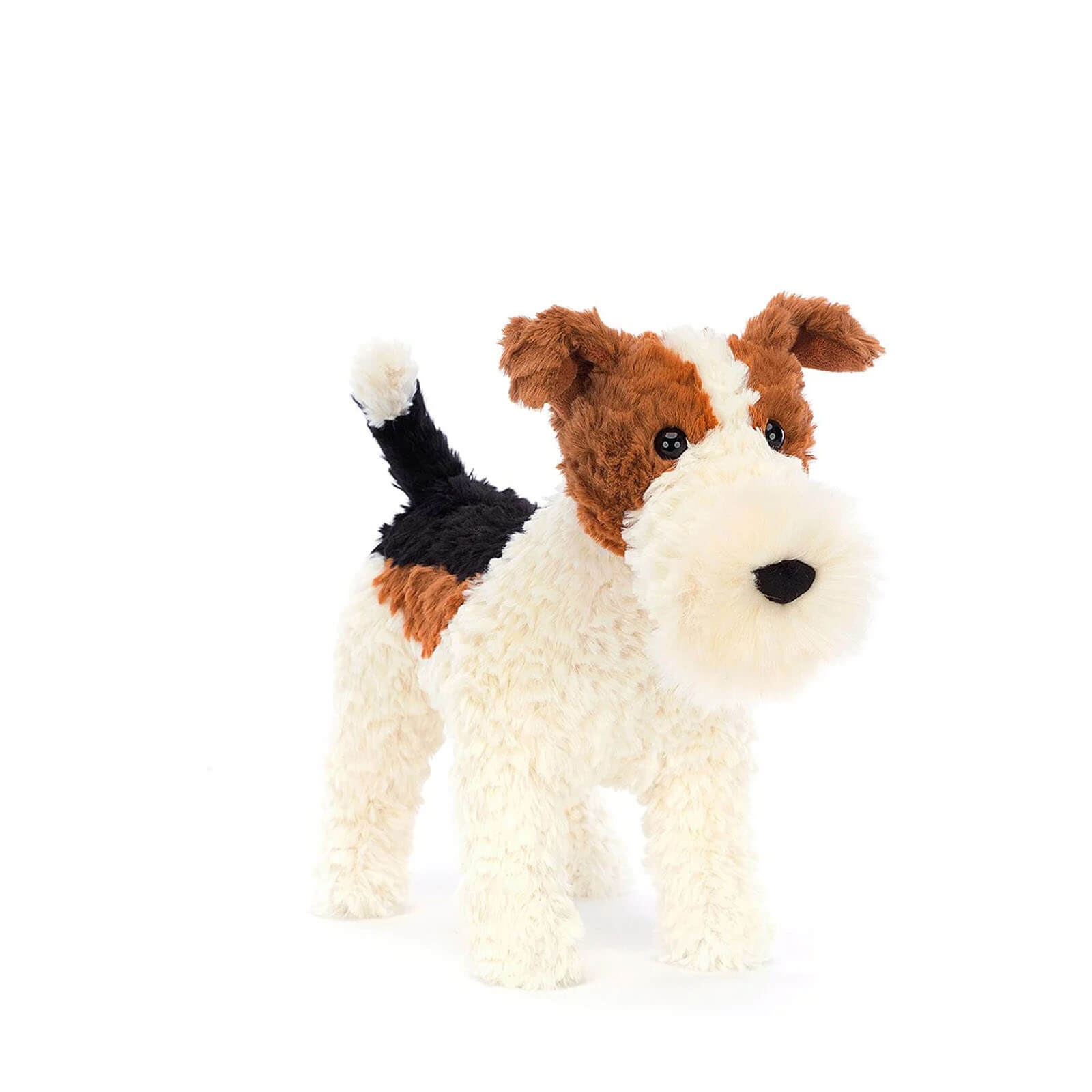 Hector Fox Terrier