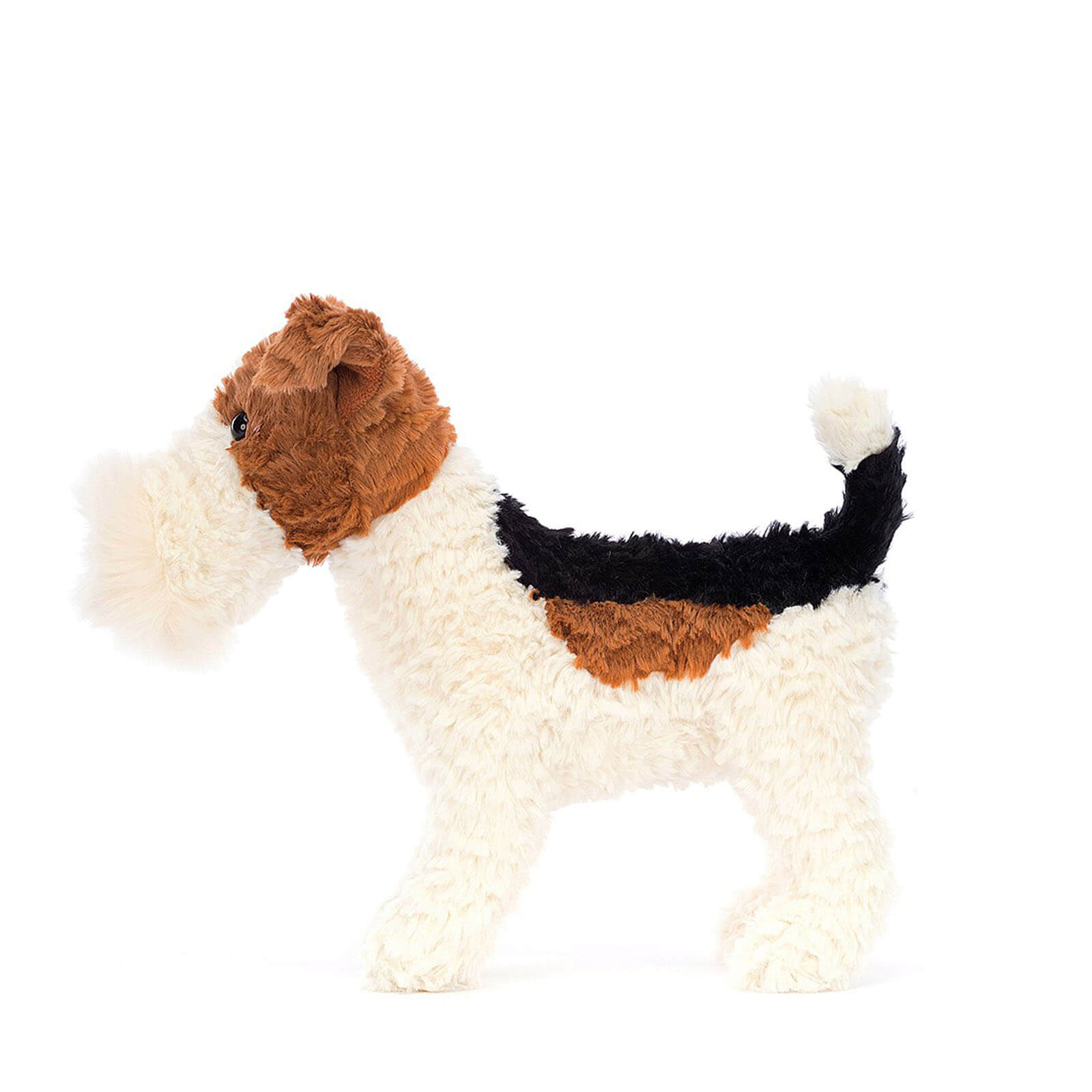 Hector Fox Terrier