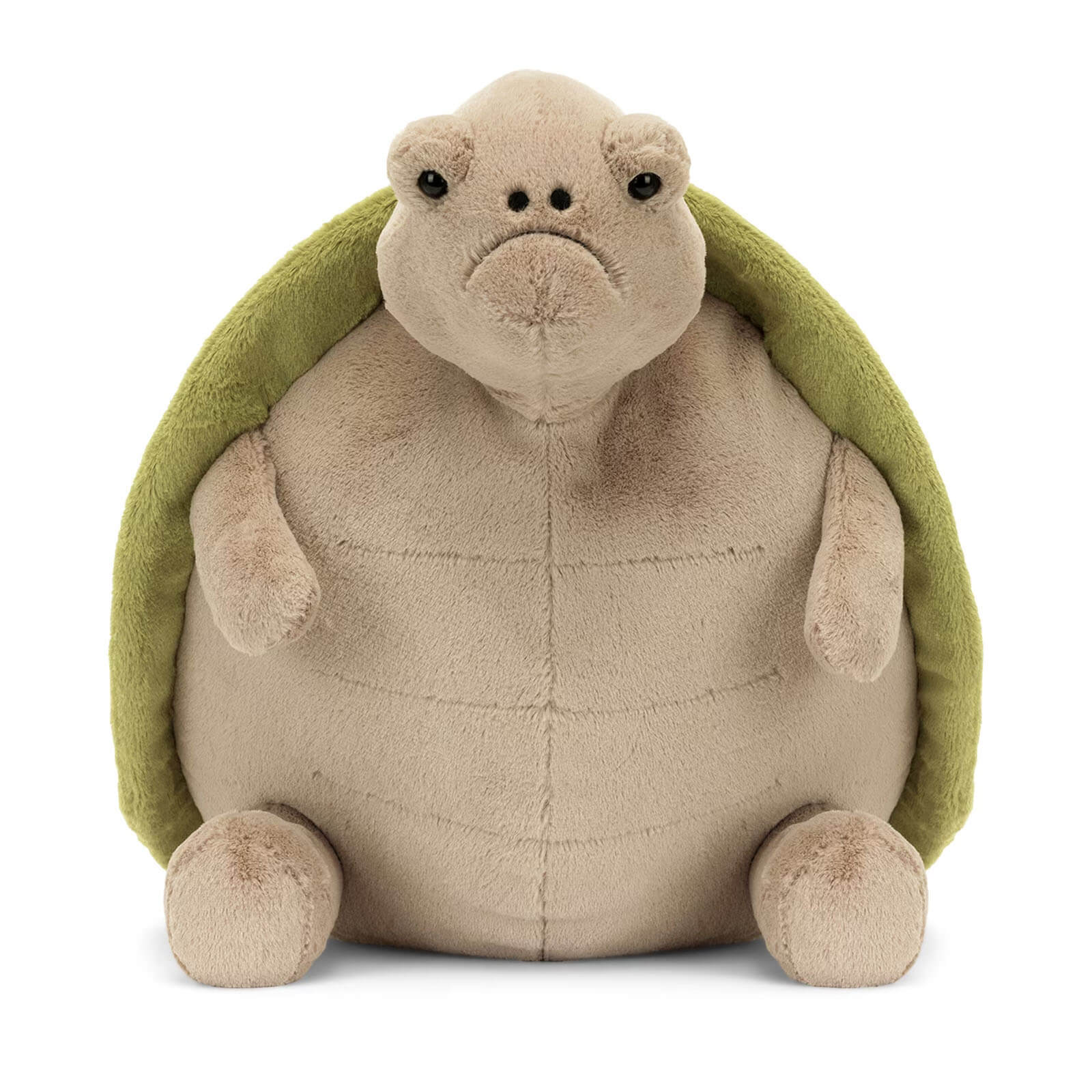 Big Timmy Turtle