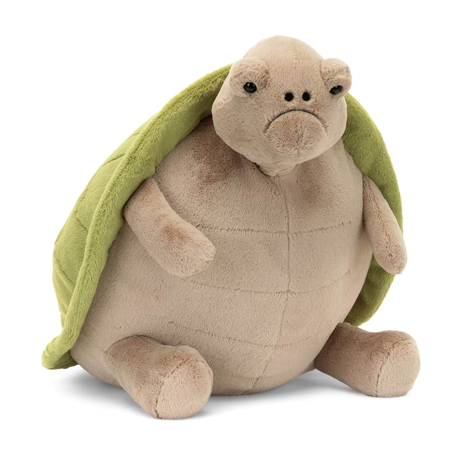 Big Timmy Turtle