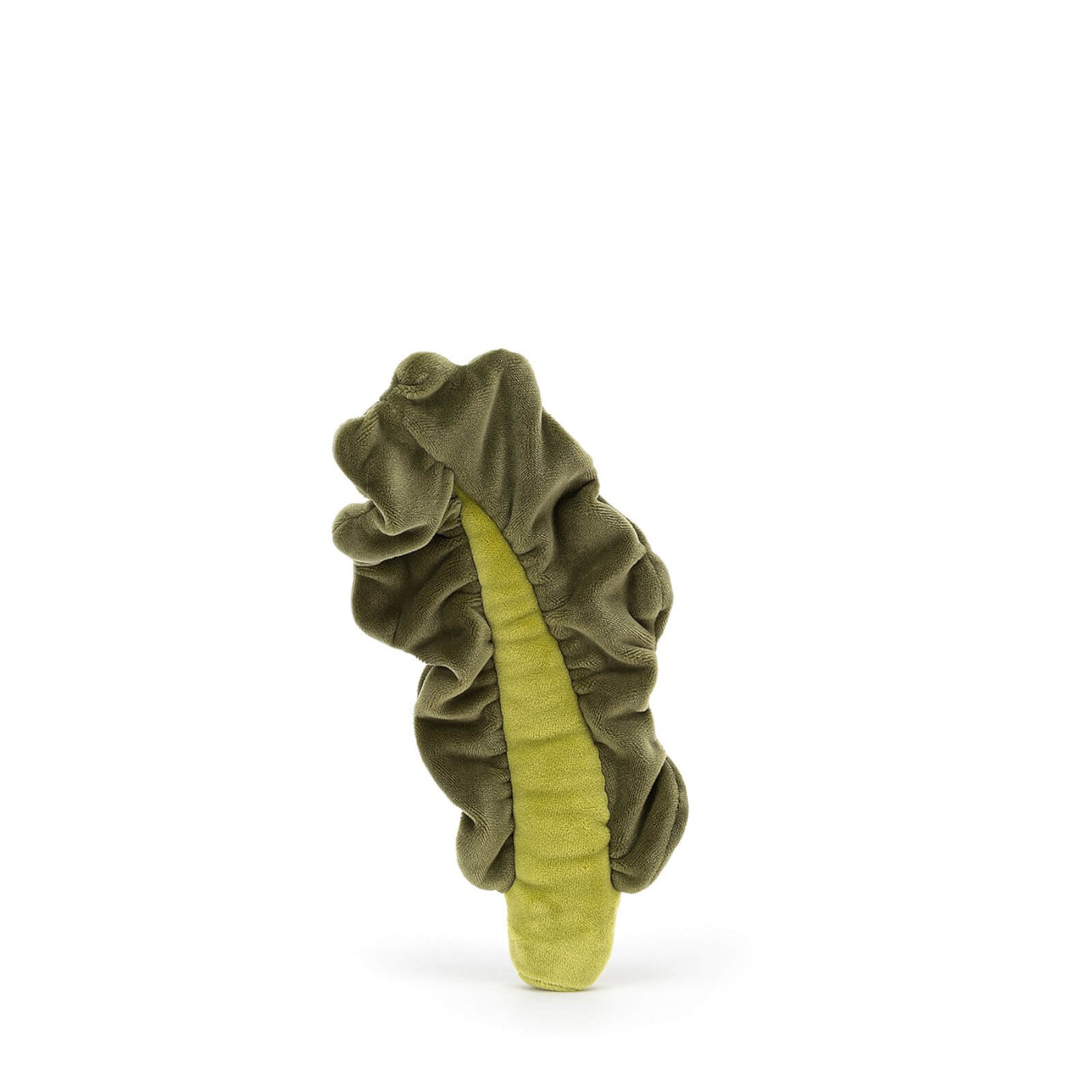 Vivacious Vegetable - Kale Leaf