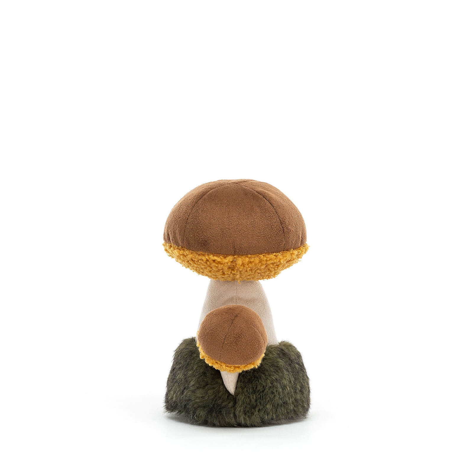 Wild Nature Boletus Mushroom