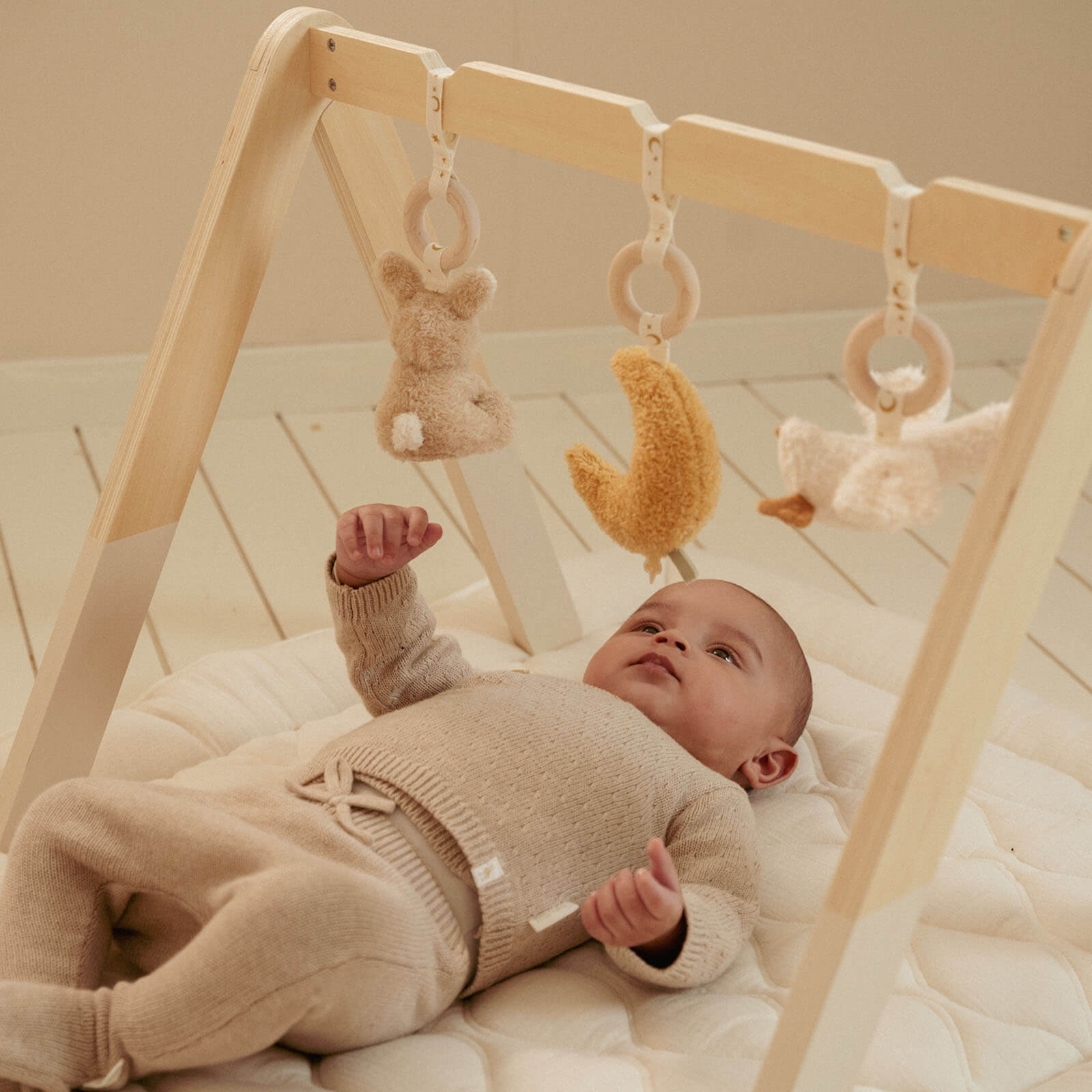 Baby Gym - Newborn Naturals