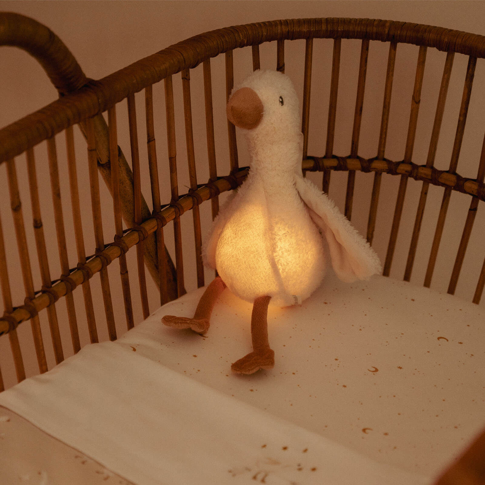 Cuddle Goose Light And Sound