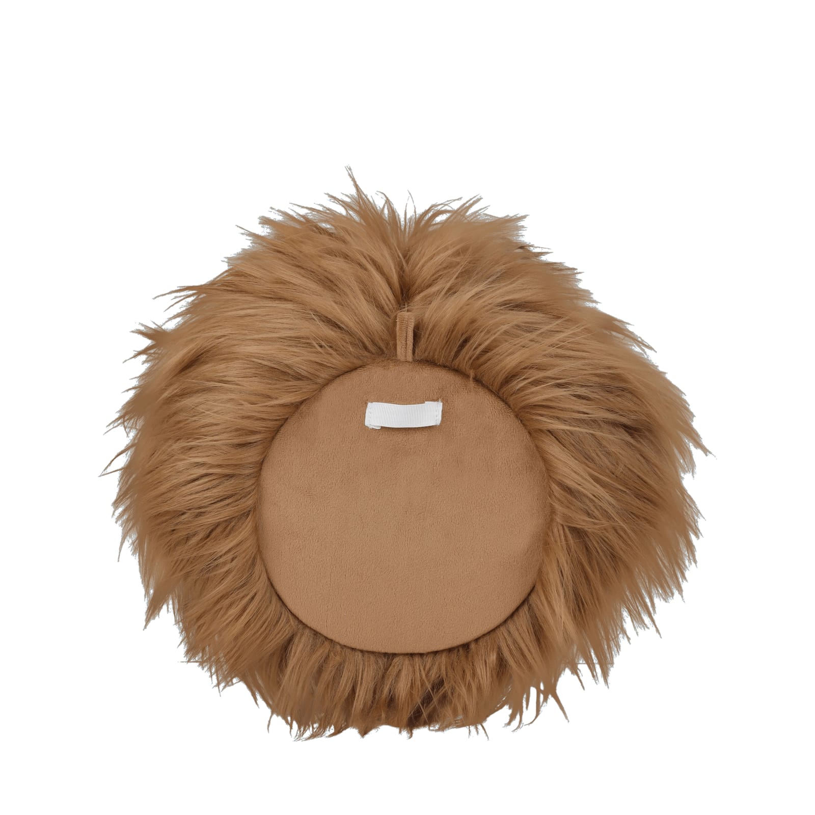 Wall Decoration Animal Head - Lion