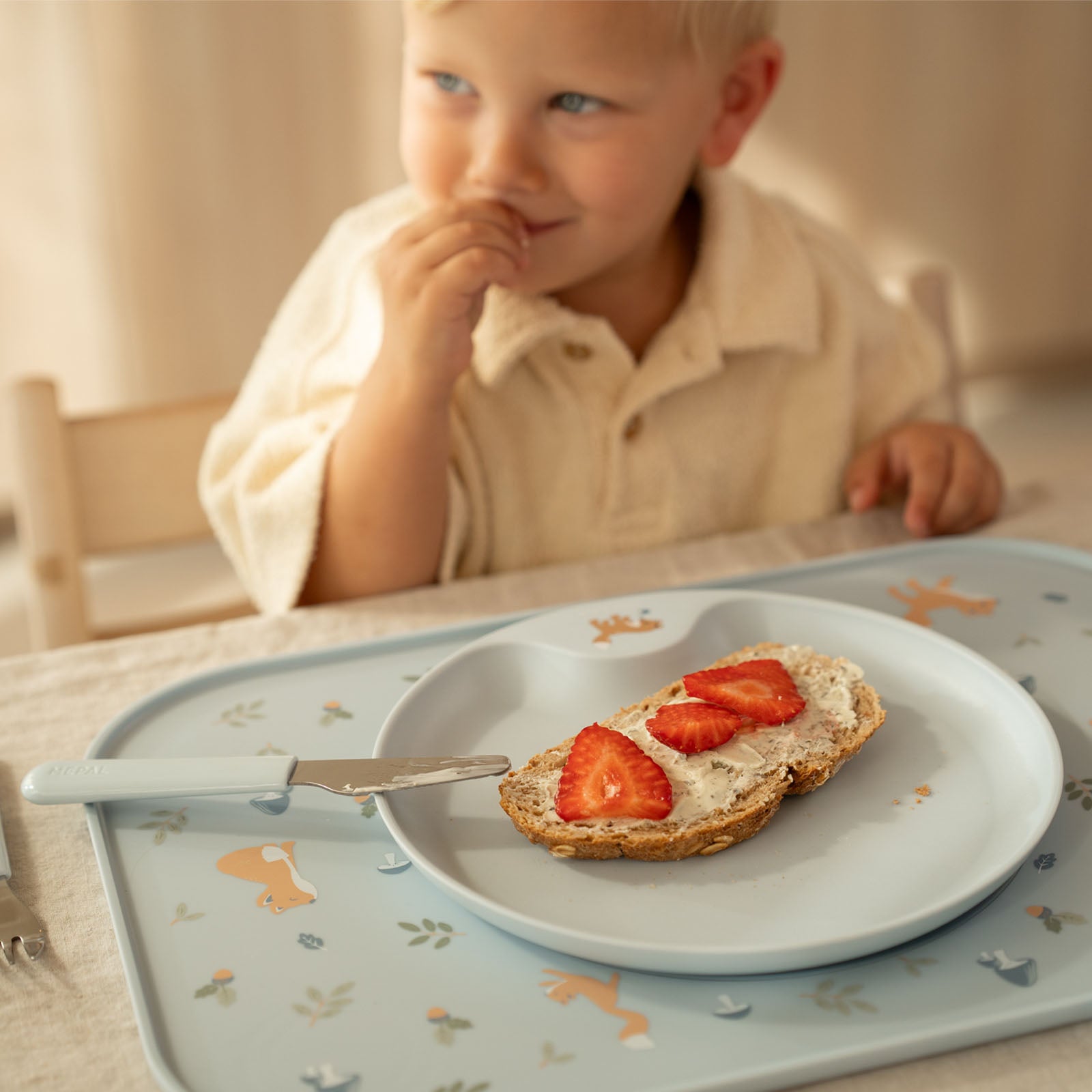 Children's Dinnerware 6 Piece Set - Forest Friends