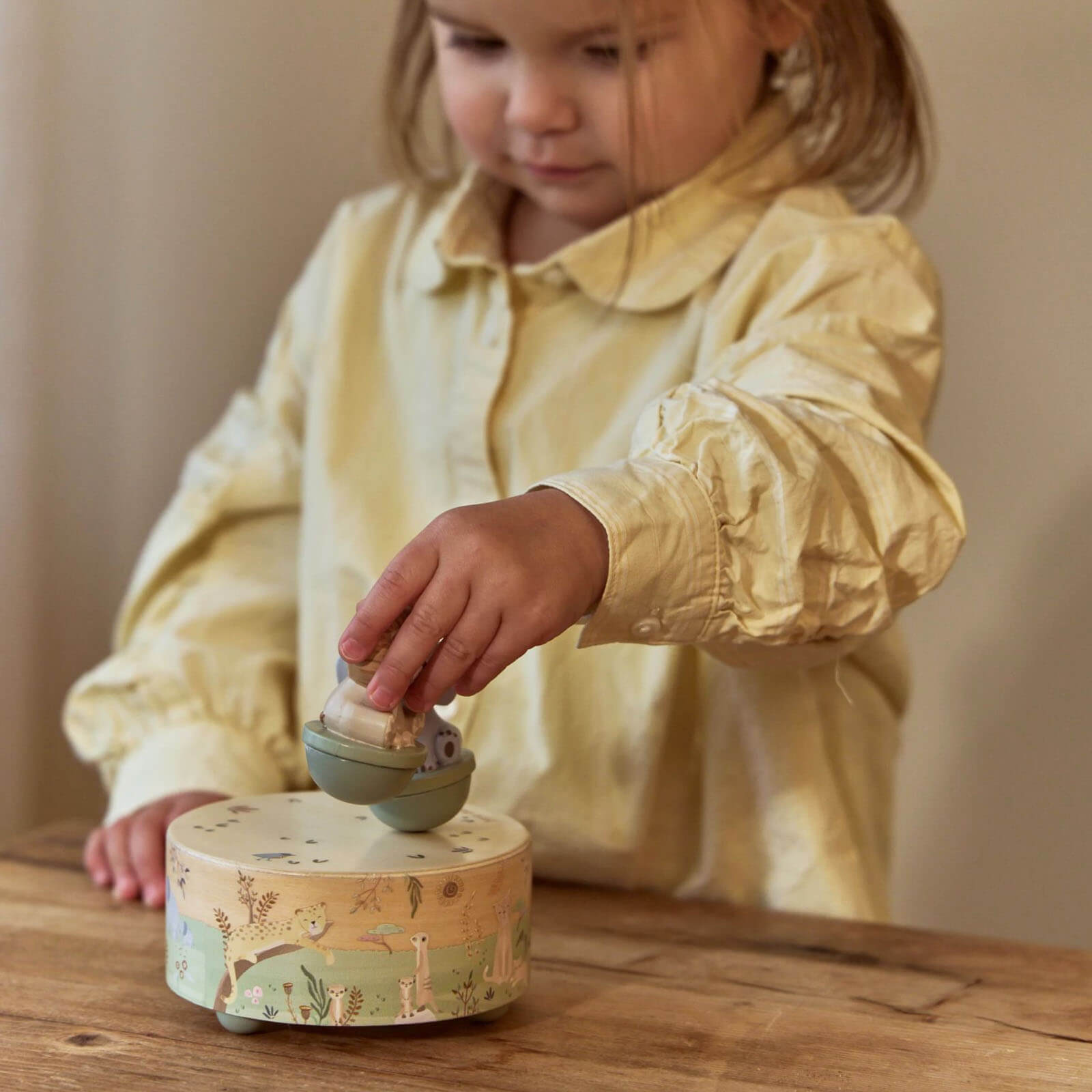 Wooden Music Box - Safari Friends