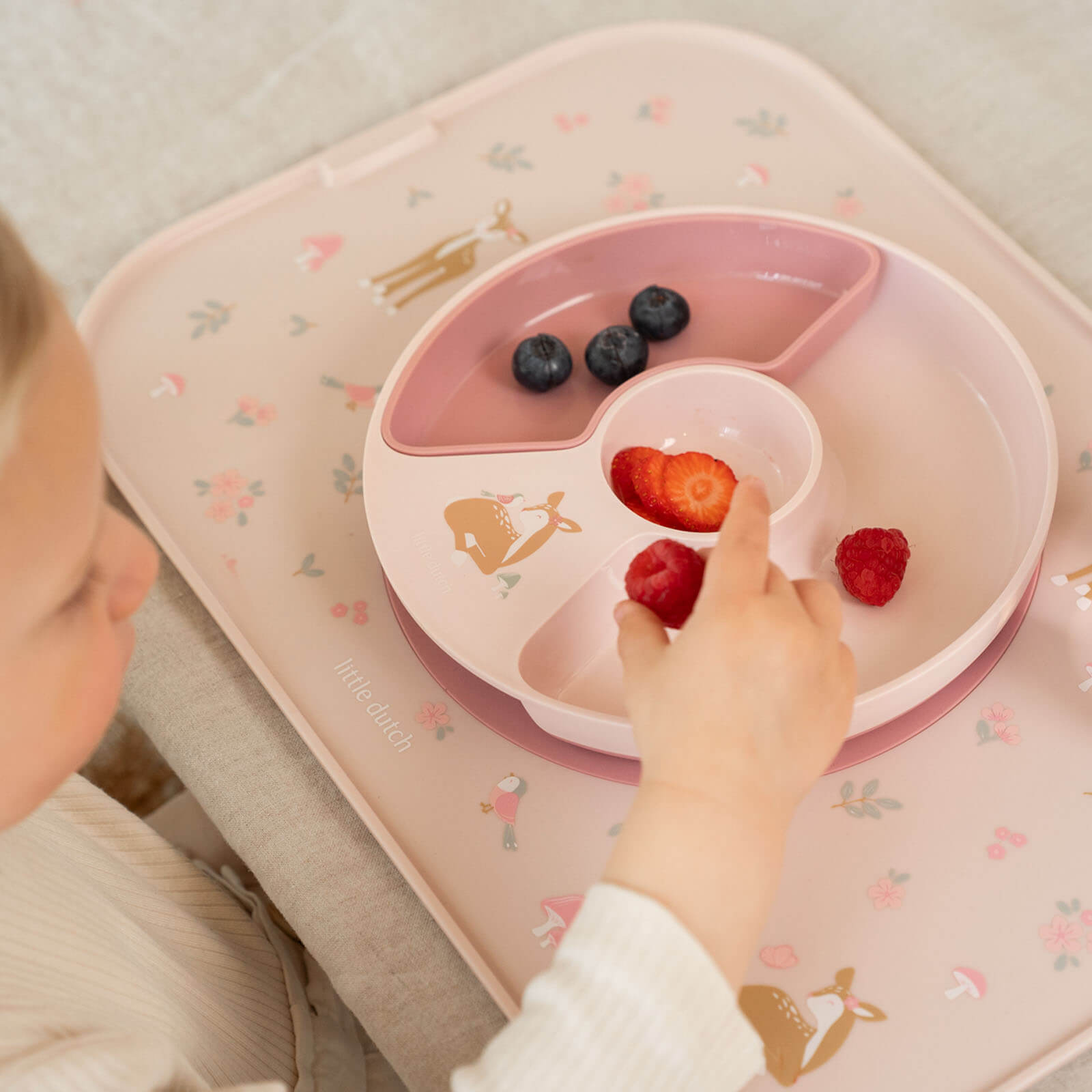 Divider Plate - Fairy Garden