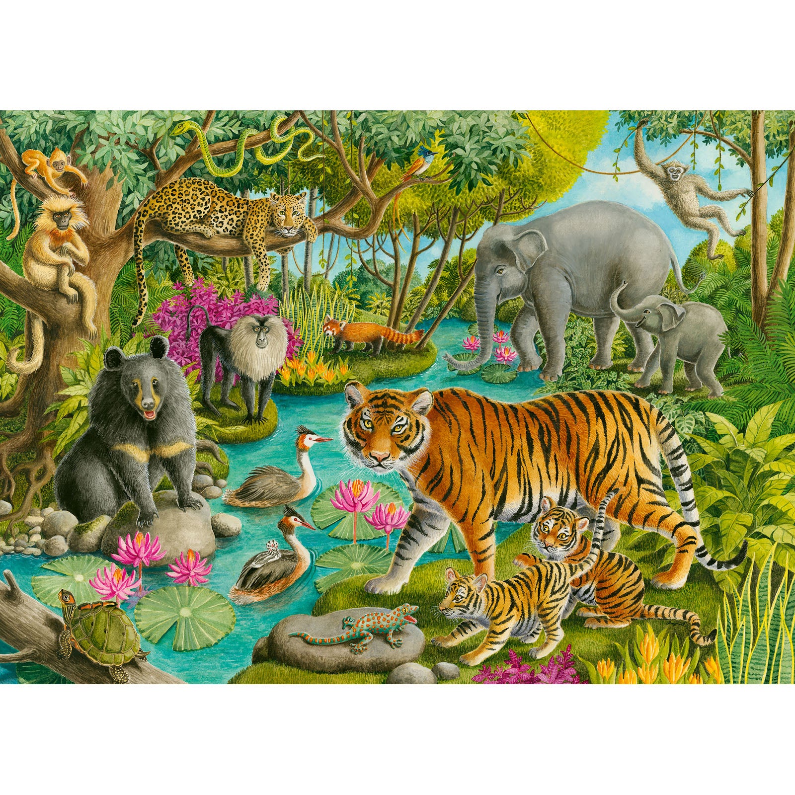 Animals of India - 60 Piece Puzzle