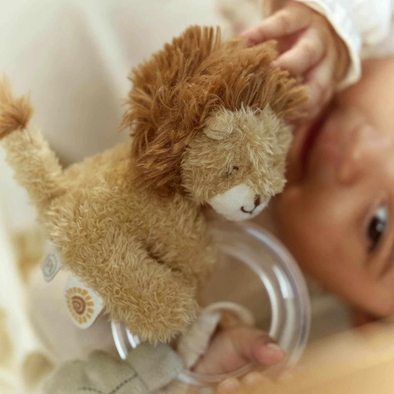Ring Rattle - Lion