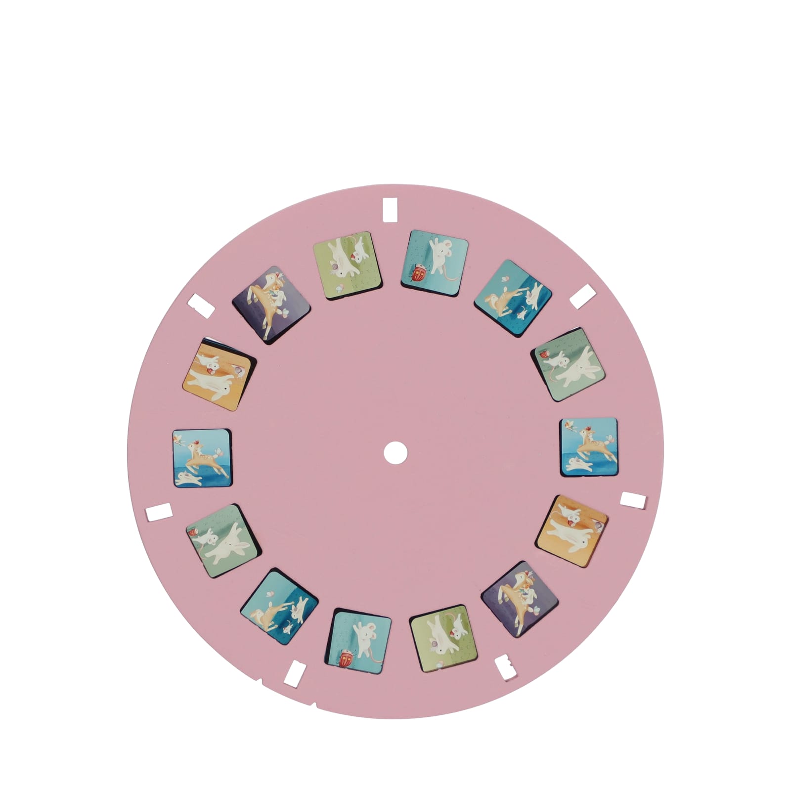Story Viewer - Fairy Garden