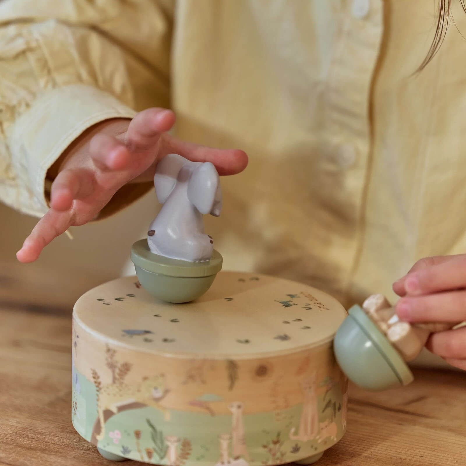 Wooden Music Box - Safari Friends