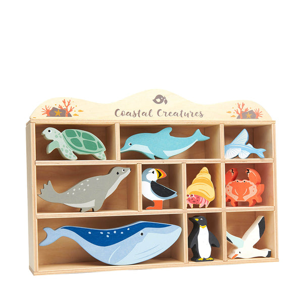 Coastal Creatures Set Plus Display Shelf
