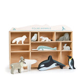 Polar Animals Set Plus Display Shelf