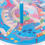 Aquatic Maze Puzzle