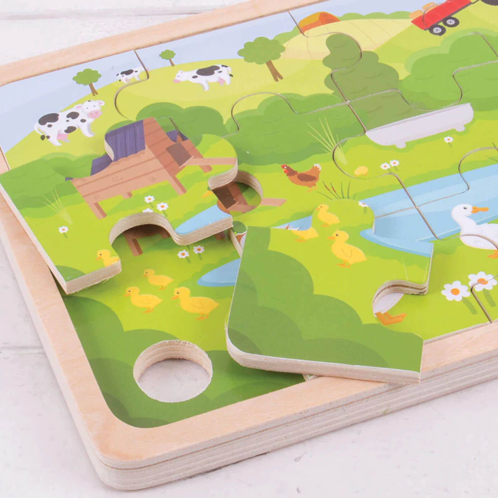 On The Farm Puzzle