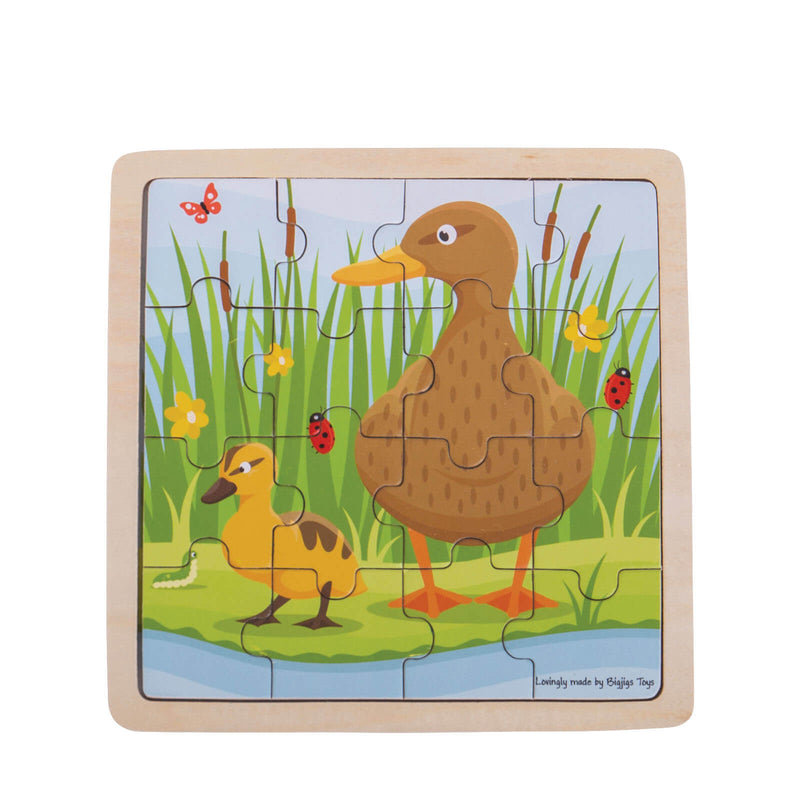 Duck and Duckling Puzzle