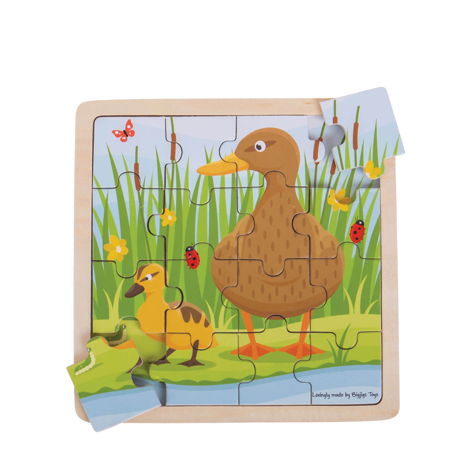 Duck and Duckling Puzzle