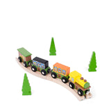 Safari Train