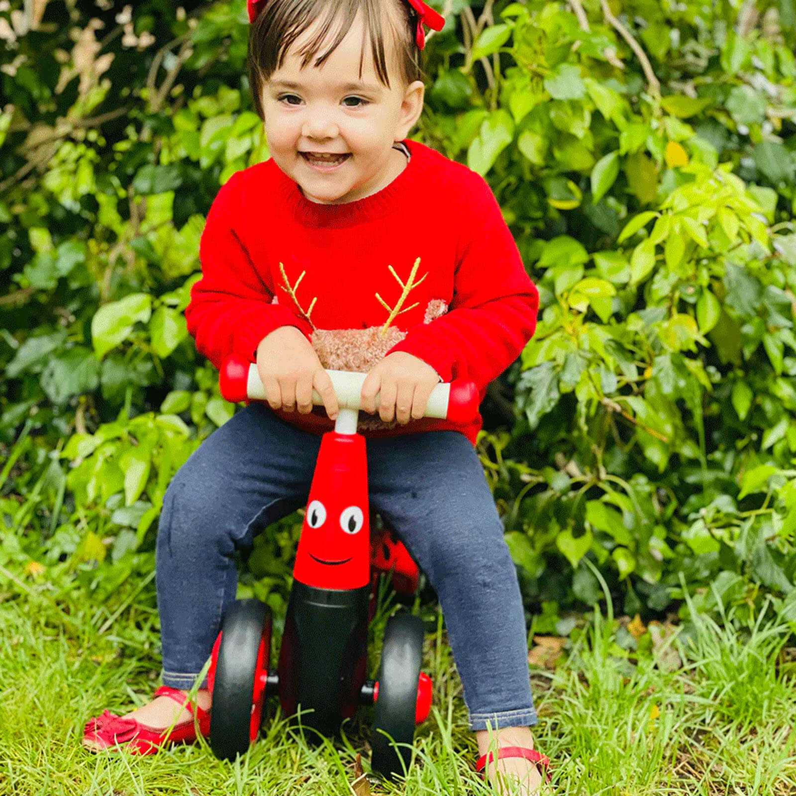 Didicar Diditrike Ladybird Small Kins