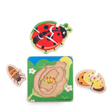 Lifecycle Layer Puzzle - Ladybug