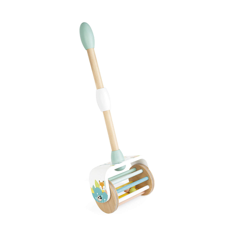 Pure Push Along Toy