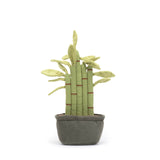 Amuseable Potted Bamboo