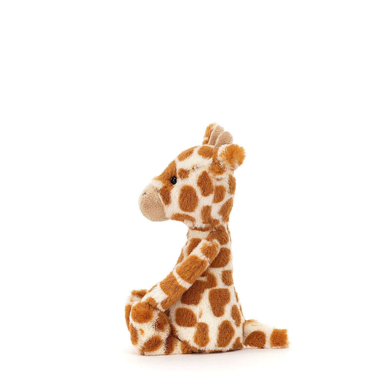 Small Bashful Giraffe