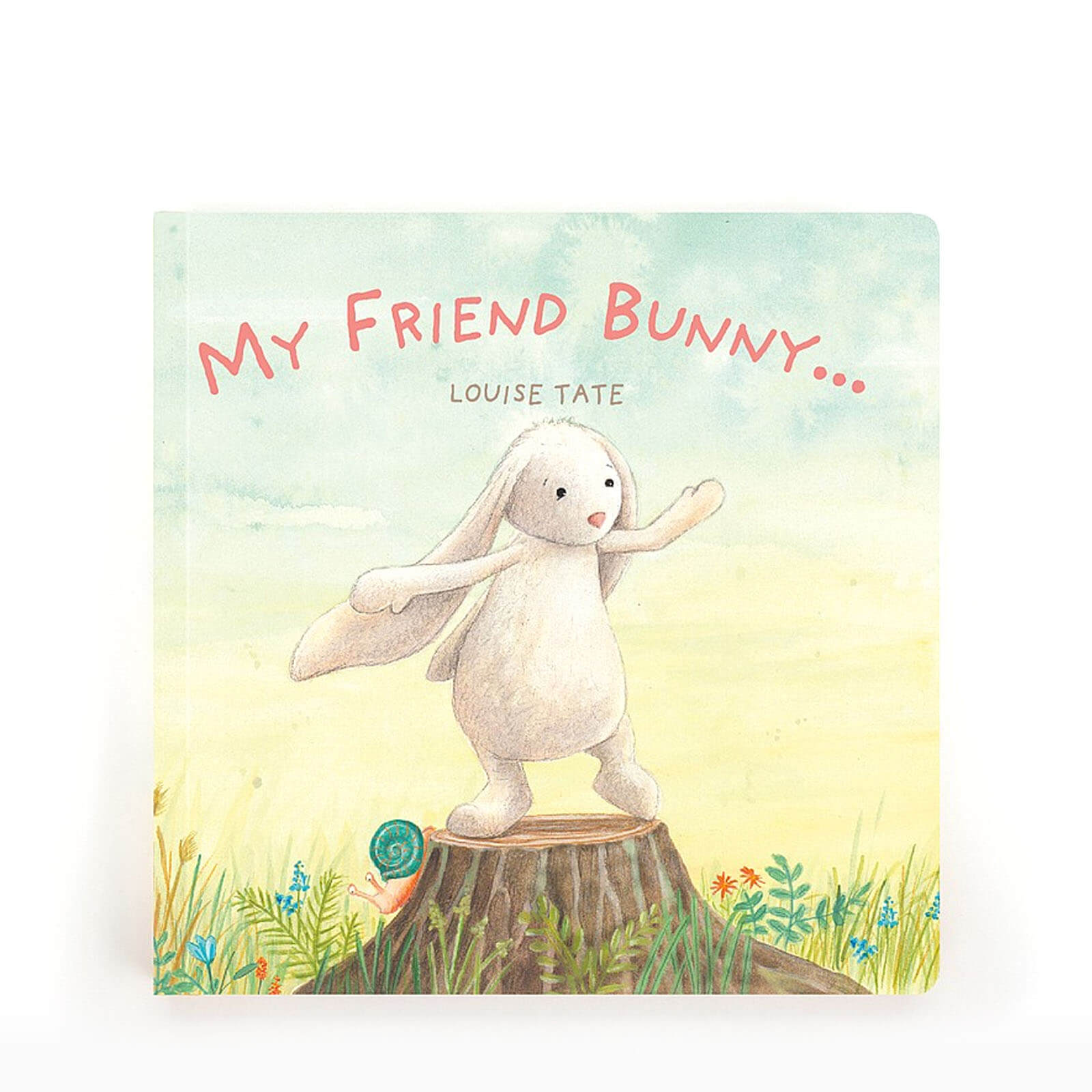 My Friend Bunny - Book