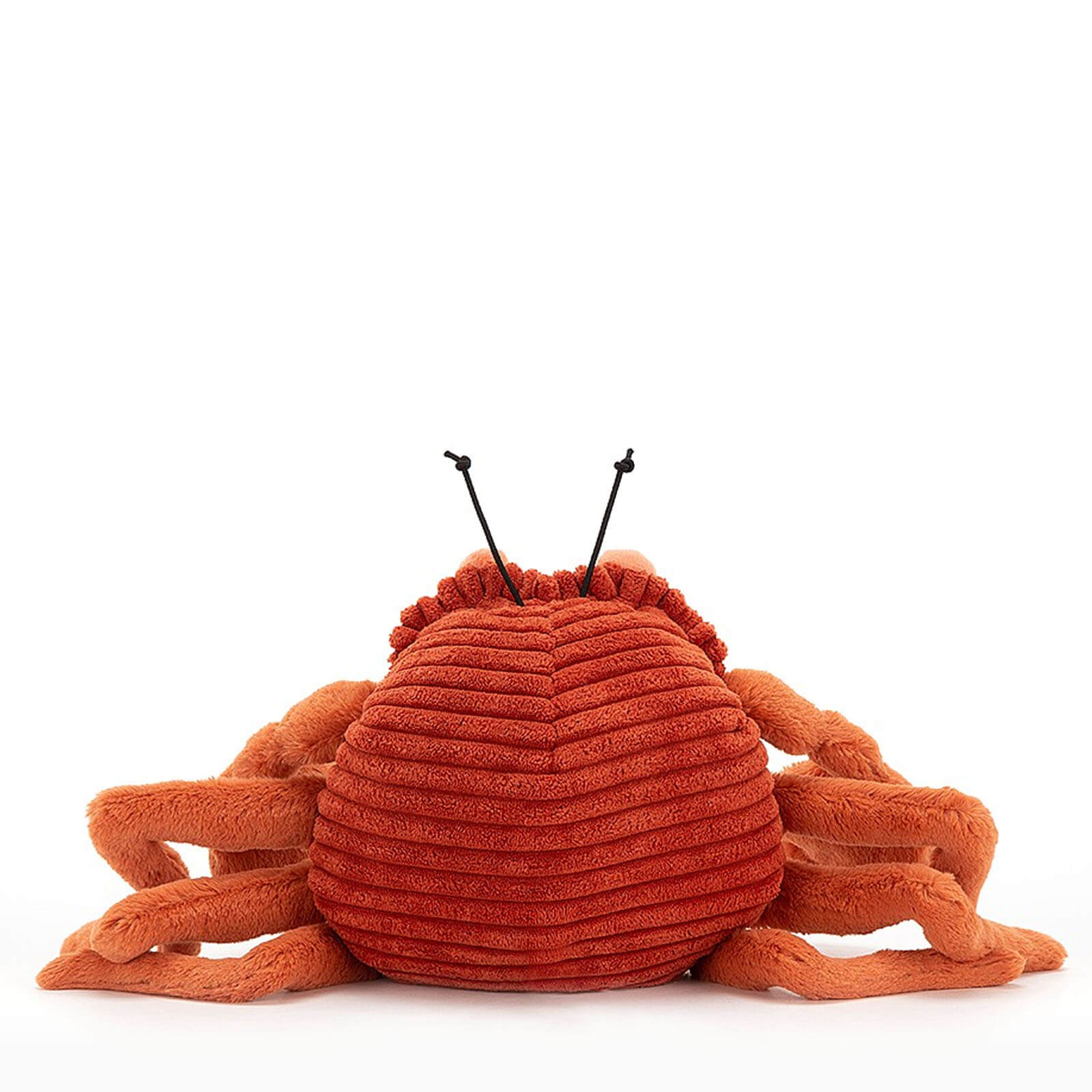 Crispin Crab