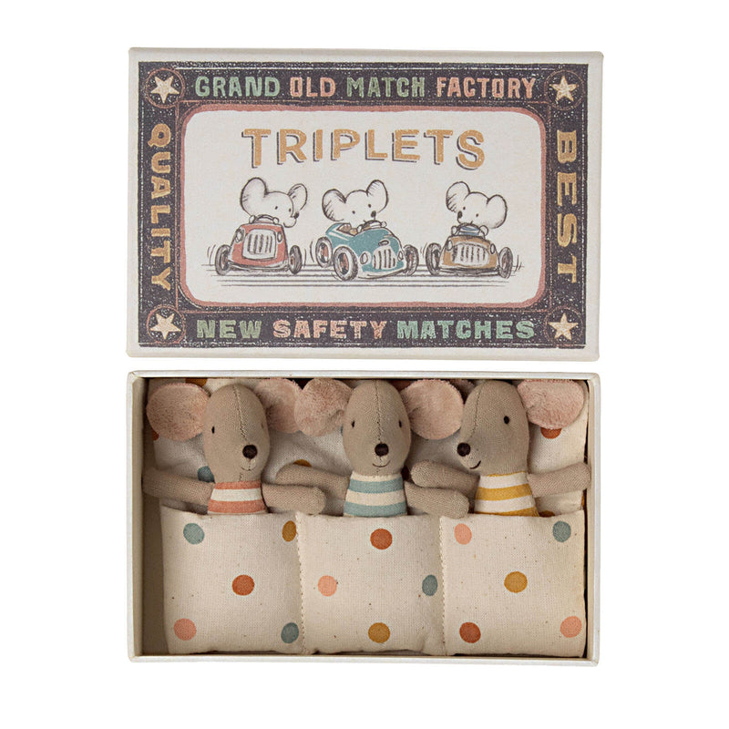Triplets - Baby Mice In Matchbox
